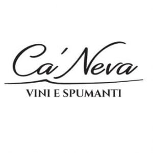 web agency pordenone